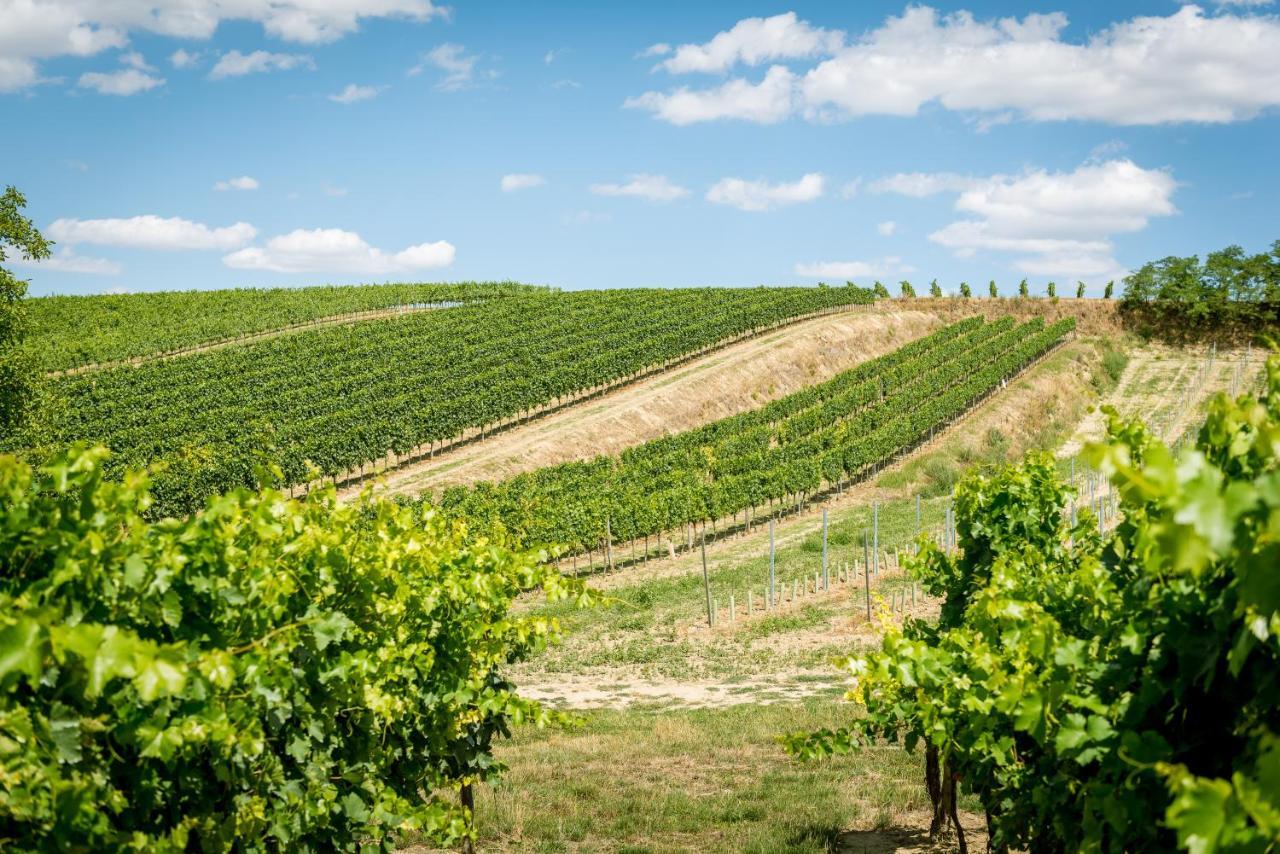 ホテル Weingut Burger Kalladorf エクステリア 写真